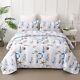 3 Pcs Coastal Quilt Set Queen Size Summer Nautical Beach Theme Quilted Blan