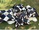 4 X Genuine Cowhide Patchwork Cushion Cover Leather Hairy Cow Hide Skin 16 X 16