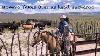 Head Cowgirl Corrals A Herd