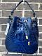 Nwt $365 Brahmin Melinda Bucket Bag Anchor Melbourne Shoulder Tote Navy Blue