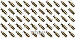 Poolzilla Pool Safety Cover Brass Anchors for Concrete and Pavers Pack 50