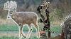 Top 5 Deer Hunting Tips For Ground Setups